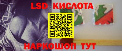 индика Новодвинск