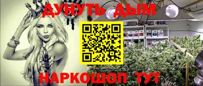 эйфоретик Новокубанск