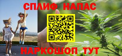 ГАЛЛЮЦИНОГЕННЫЕ ГРИБЫ Новозыбков