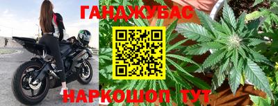индика Новодвинск