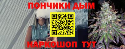 индика Новодвинск