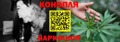 индика Новодвинск