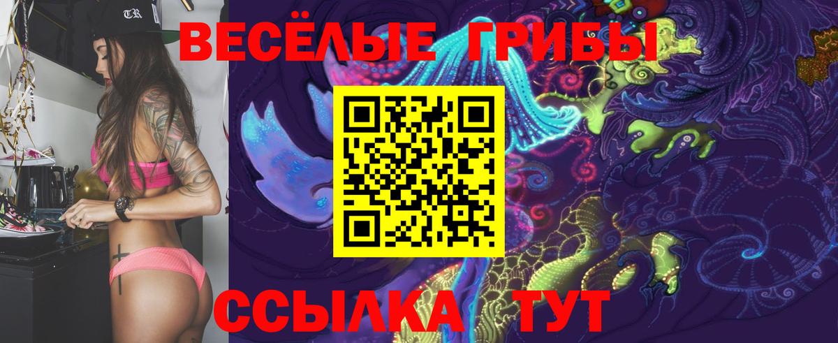Алушта  Галлюциногенные грибы Magic Shrooms  Вход с VPN 
